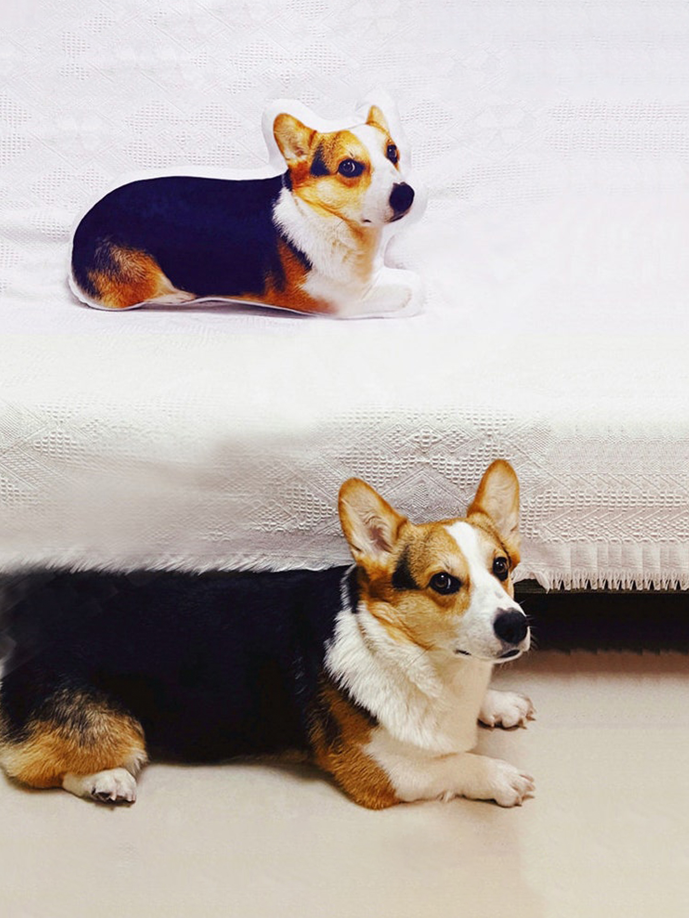 Custom Pet Pillows, Personalized Pillows